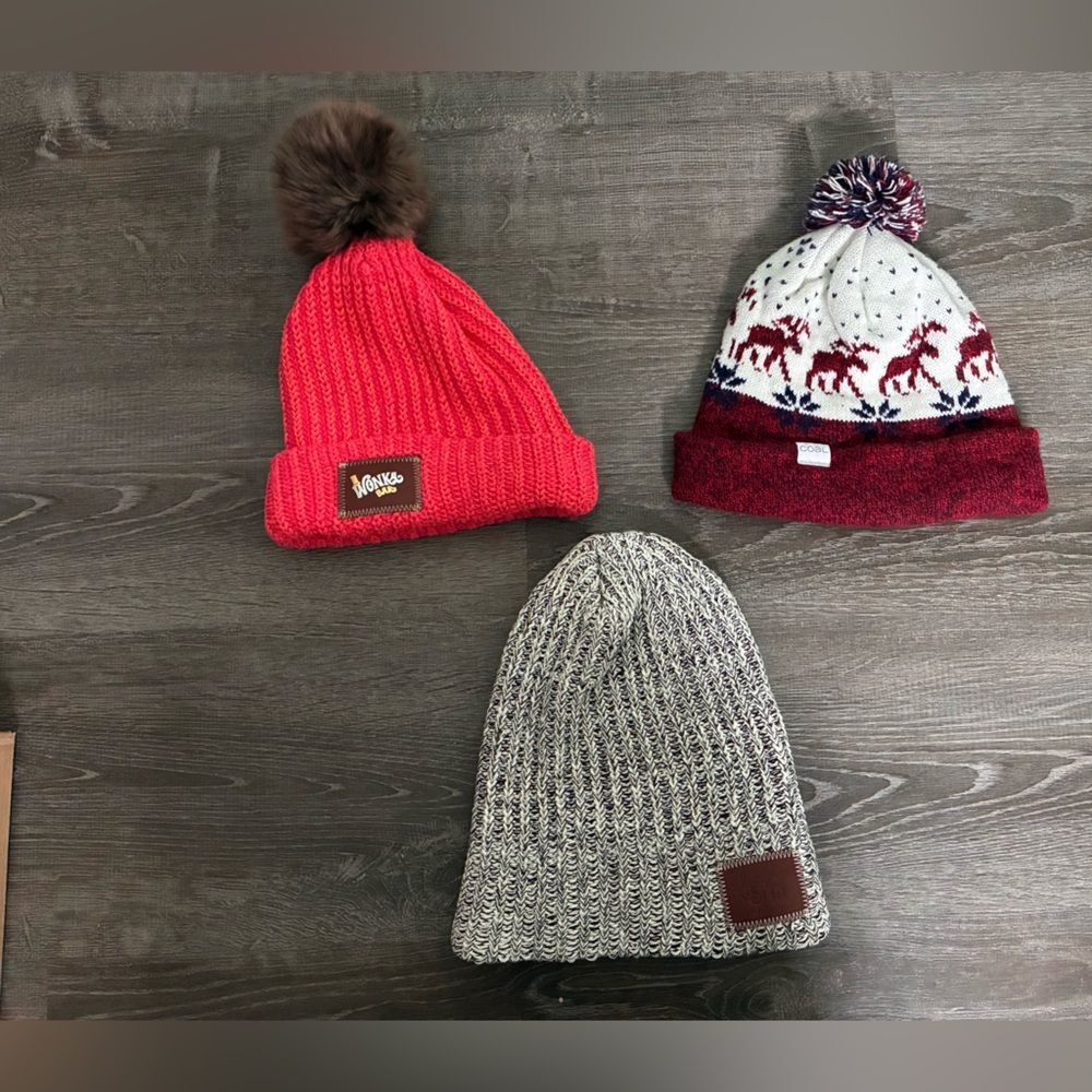 Love Your Melon Coal Reindeer Willy Wonka Marled Winter Beanie Hat Bundle Womens